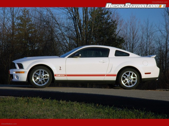 Shelby Shelby Cobra GT500 Red Stripe Picture #3 Shelby Shelby Cobra GT500 Red Stripe Picture #3